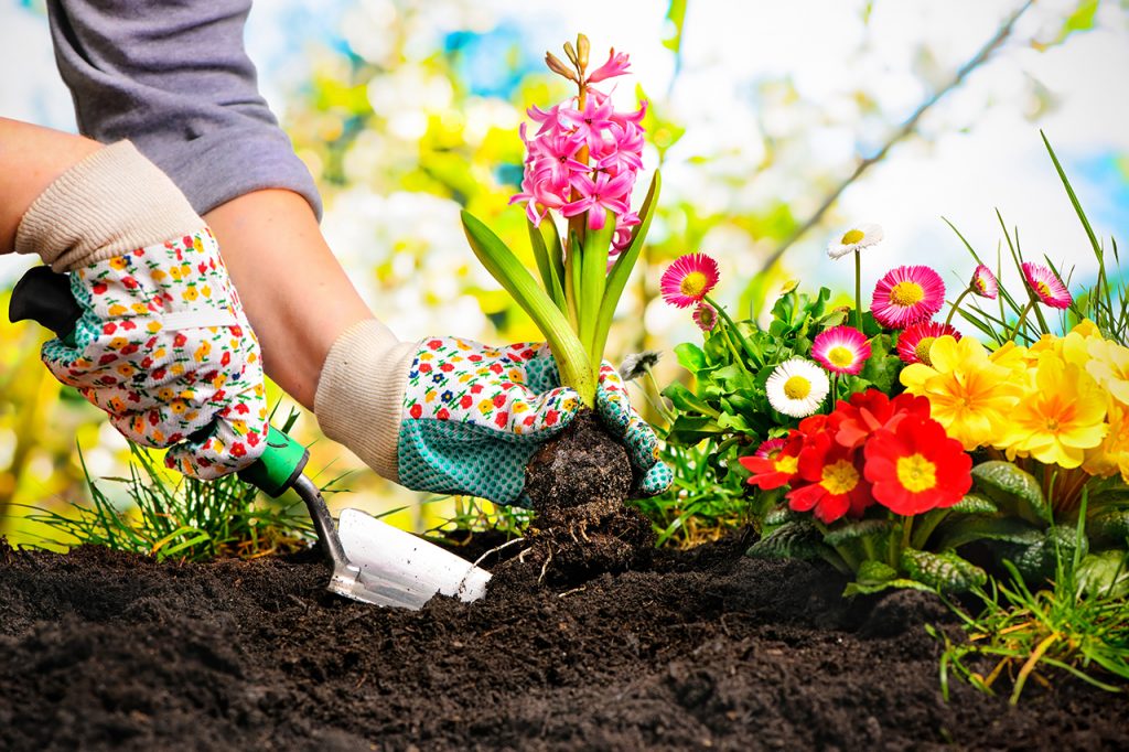 Frühling, Garten, Gartenarbeit, Gartenwerkzeug, Blumen